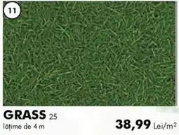 Diego Grass 25 Ofertă