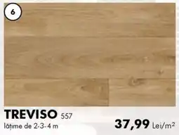 Diego Treviso 557 Ofertă