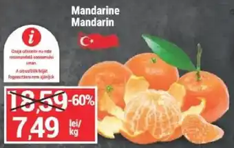 Mandarine Mandarin