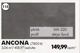 Diego Ancona Ofertă
