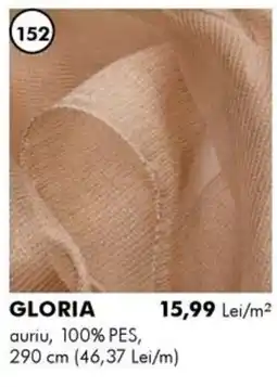 Diego Gloria Ofertă