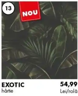 Diego Exotic hârtie Ofertă