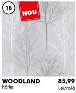 Diego Woodland hârtie Ofertă