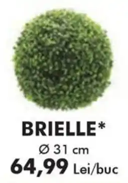 Diego Brielle* Ofertă