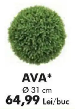 Diego AVA* Ofertă