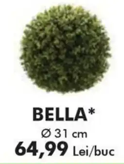 Diego Bella Ofertă