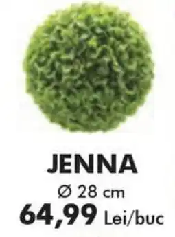 Diego Jenna Ofertă