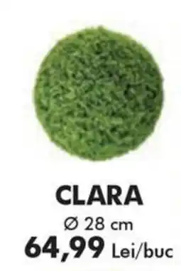 Diego Clara Ofertă