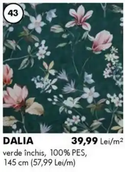 Diego Dalia Ofertă