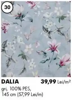 Diego Dalia Ofertă