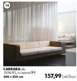 Diego Carrara alb Ofertă