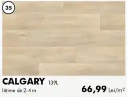 Diego Calgary 139L Ofertă
