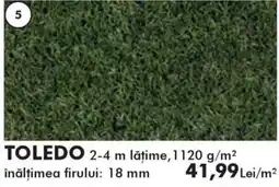 Diego Toledo Ofertă