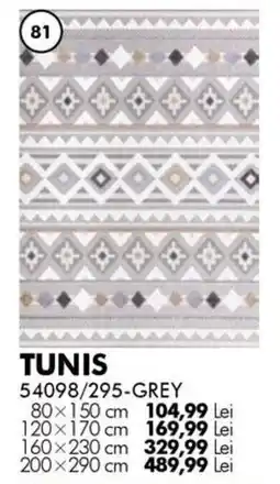 Diego Tunis 54098/295-grey Ofertă