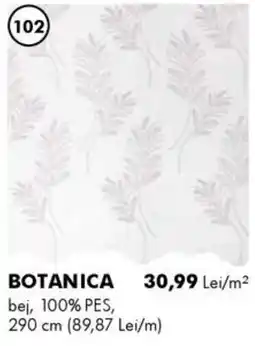 Diego Botanica Ofertă
