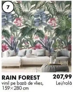 Diego Rain Forest Ofertă