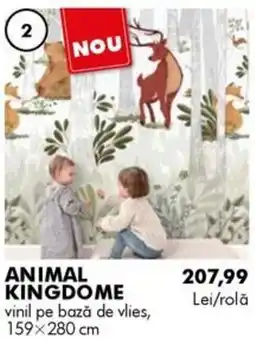 Diego Animal Kingdome Ofertă
