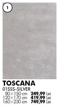 Diego Toscana 01sss-silver Ofertă