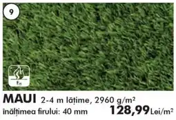Diego Maui Ofertă