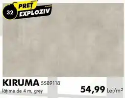 Diego Kiruma 5589118 Ofertă