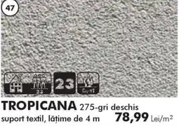 Diego Tropicana 275-gri deschis Ofertă