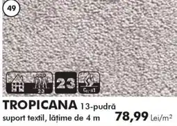 Diego Tropicana 13-pudră Ofertă