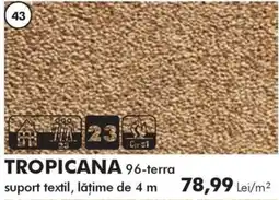 Diego Tropicana 96-terra Ofertă