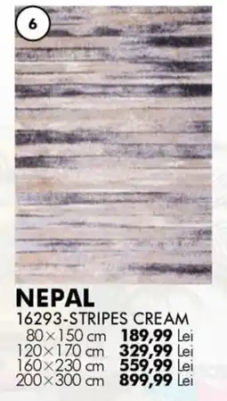 Diego Nepal 16293-stripes cream Ofertă