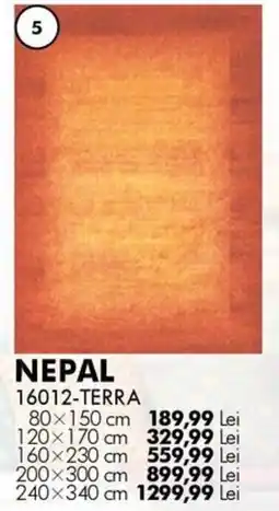 Diego Nepal 16012-terra Ofertă