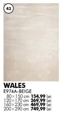 Diego Wales E974A-Beige Ofertă