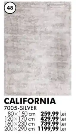 Diego California 7005-silver Ofertă