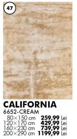 Diego California 6652-cream Ofertă