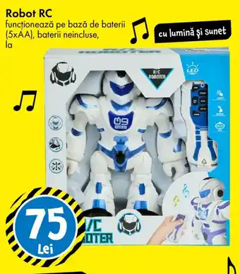 Robot RC