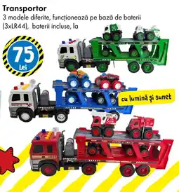 TEDI Transportor Ofertă