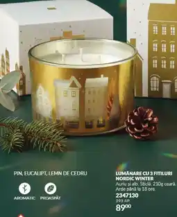 Avon Lumânare cu 3 fitiluri nordic winter Ofertă