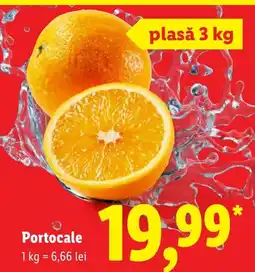 Lidl Portocale Ofertă