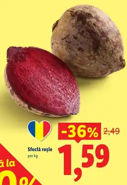 Lidl Sfeclă roșie Ofertă
