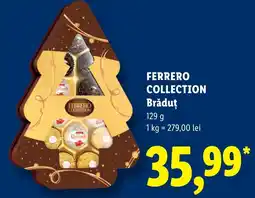 Lidl Ferrero Collection Brăduț Ofertă
