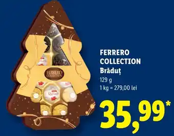 Ferrero Collection Brăduț