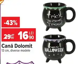 Carrefour Cană Dolomit Ofertă