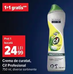 Carrefour Cif profesional Ofertă