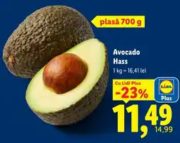 Lidl Lidl Avocado Hass Ofertă