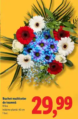 Lidl Buchet multicolor de toamnă Ofertă