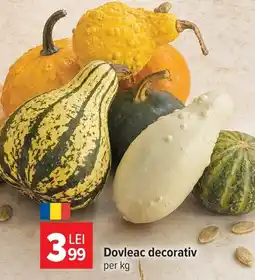 Carrefour Dovleac decorativ Ofertă