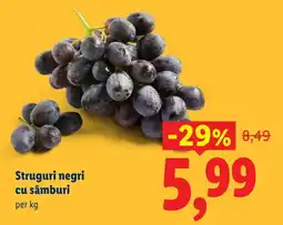 Lidl Struguri negri cu sâmburi Ofertă