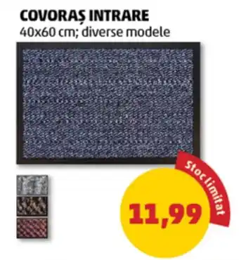 Covoras intrare