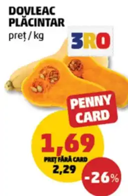 Penny 3RO dovleac plăcintar Ofertă