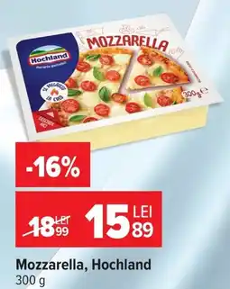 Carrefour Mozzarella, Hochland Ofertă