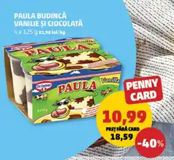 Penny Paula budincă vanilie și ciocolată Ofertă