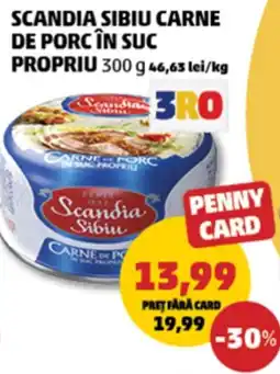 Penny Scandia Sibiu carne de porc în suc propriu Ofertă